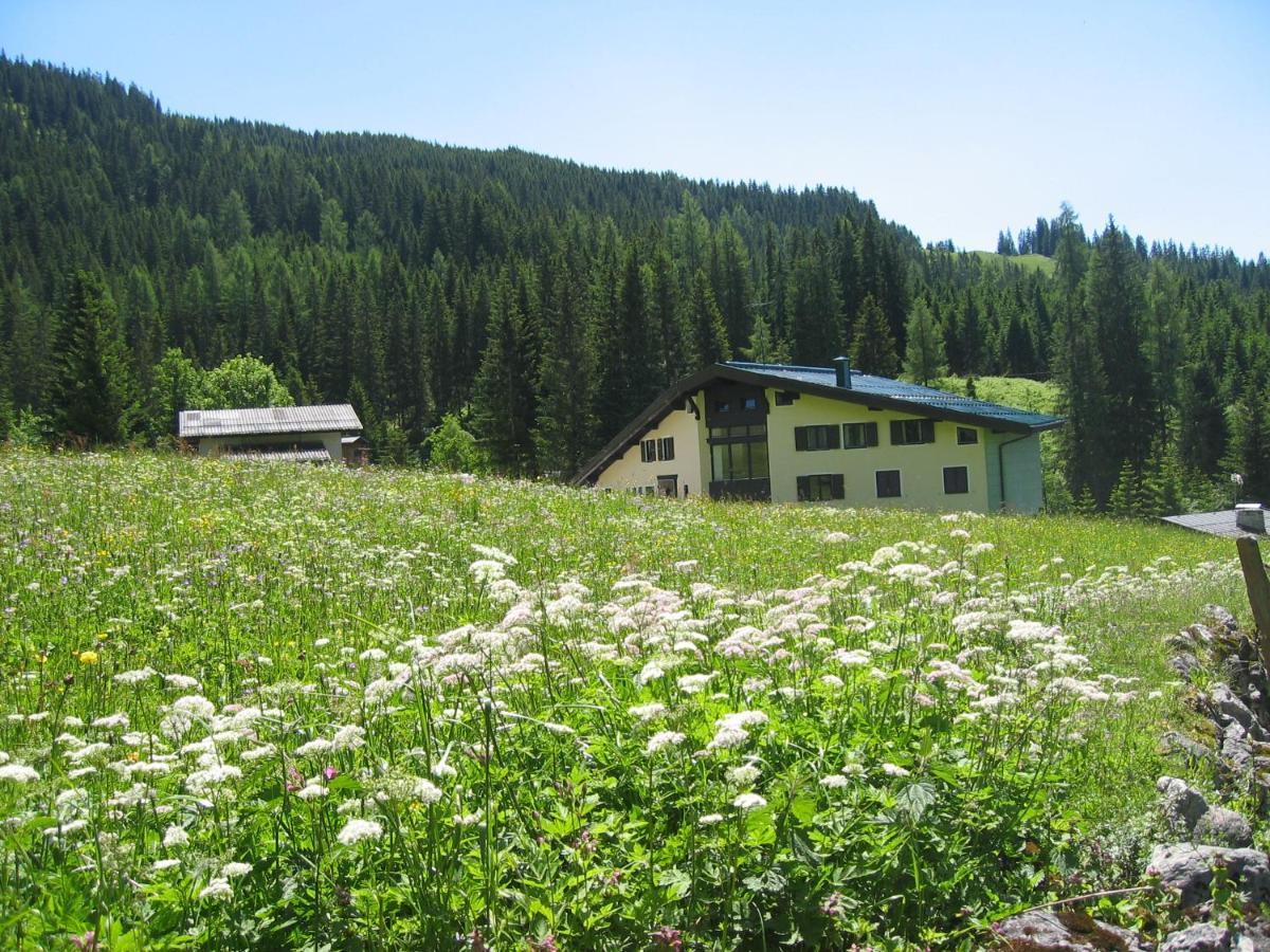 Appartementhaus Hochkoenig 1- Birgkar Muhlbach Am Hochkonig Ngoại thất bức ảnh